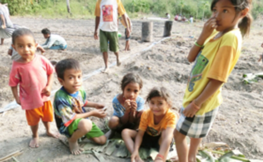 スンバ島事業応援コース