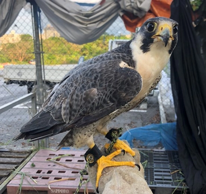 トレーニングの共通点