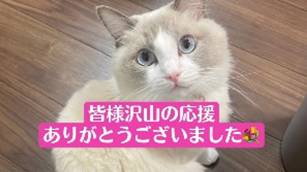 目標達成いたしました！