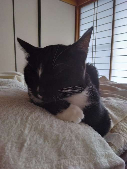 5/29はなちゃんの様子