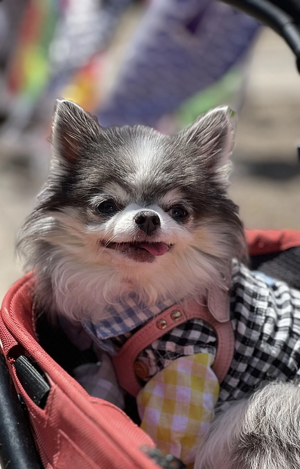 無事に術後一年目を迎えられました😭⟡.·