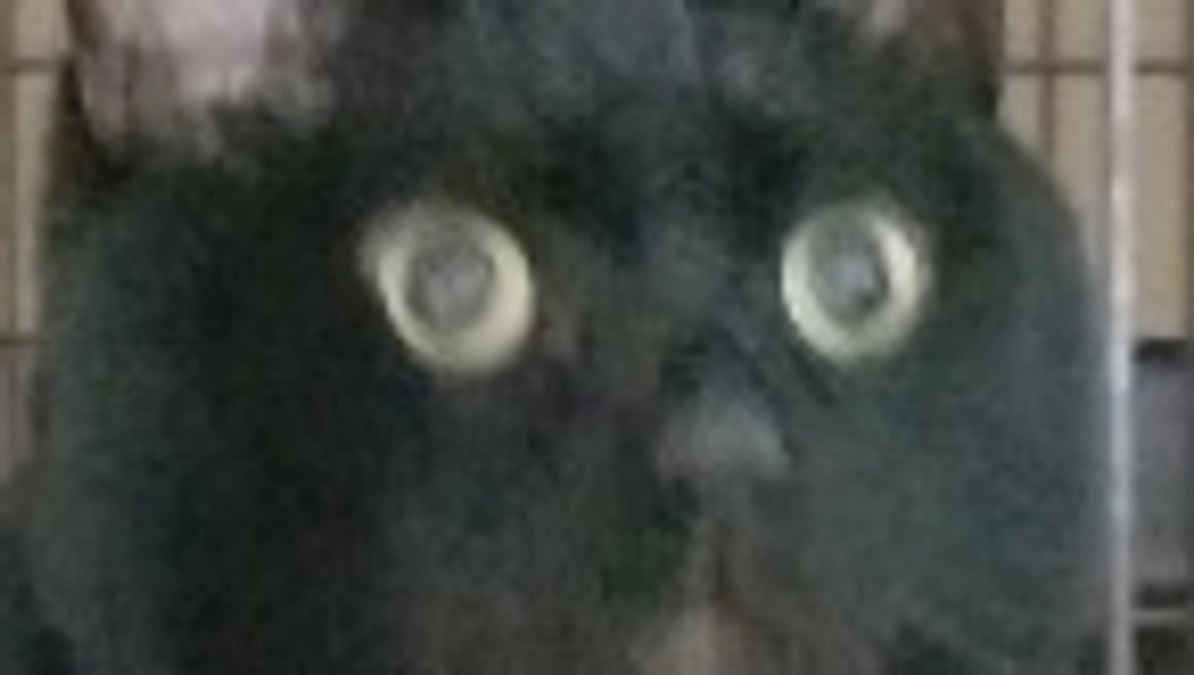 音に会いに行ってきました。