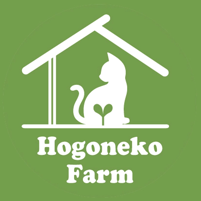 【活動報告】能登半島沖地震の件④