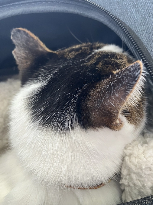 危機乗り越える