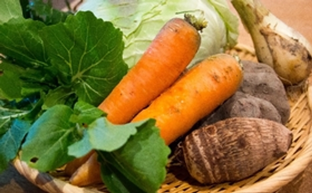 畑で取れた収穫物3点詰め合わせセットをお届け！