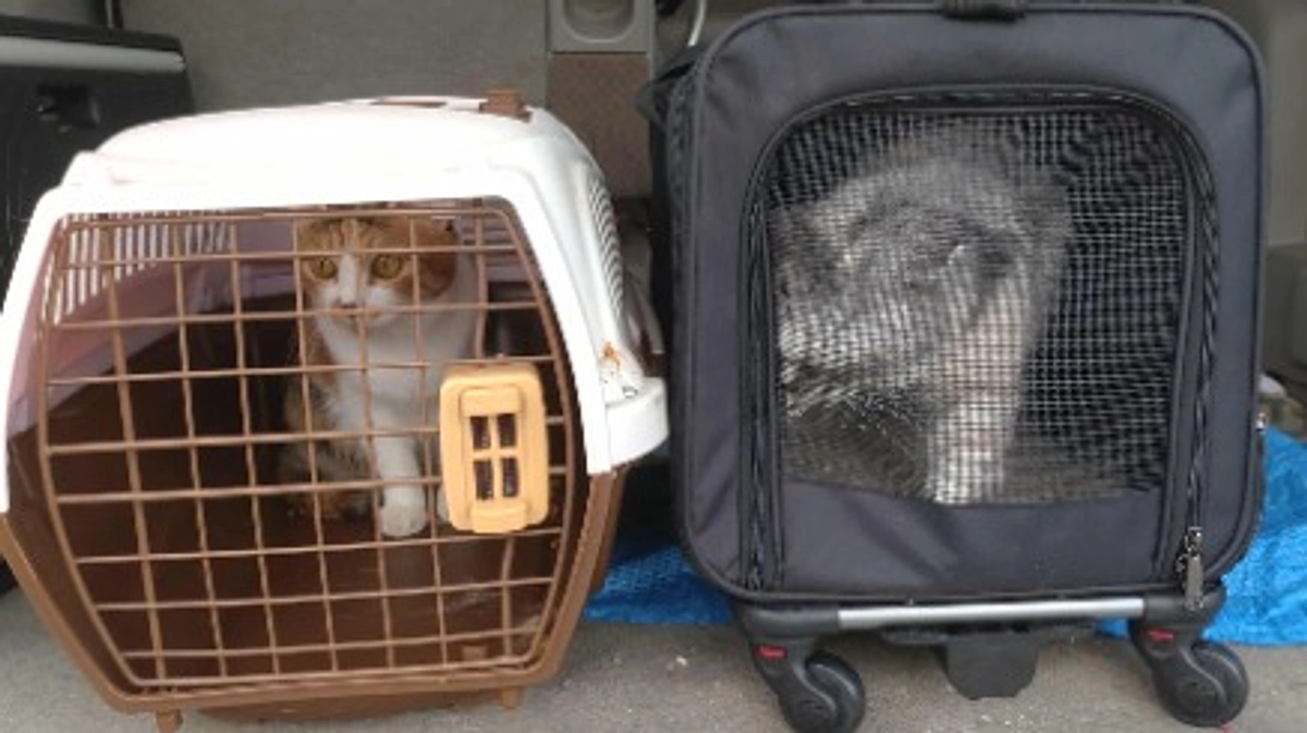 ネクストゴールに挑戦します！