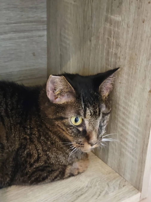 つなちゃんの初期医療が全て終わりました。