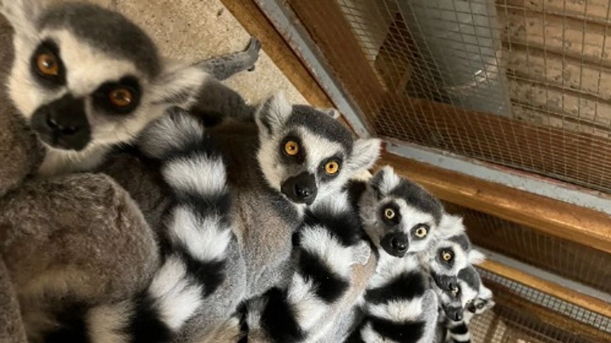 【クラファン活動報告77】KA暖房の設置が完了しました！