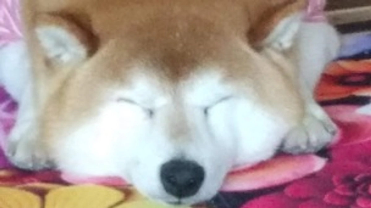 残すところ3時間❗