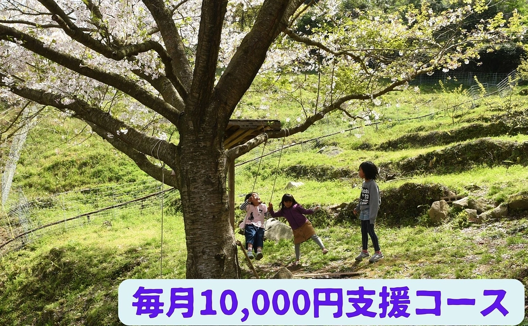 毎月10,000円支援
