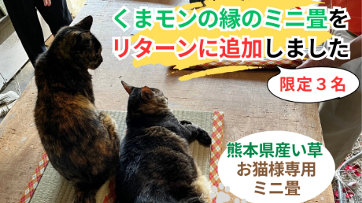 【限定３名】くまモンの縁ミニ畳をリターンに追加しました！