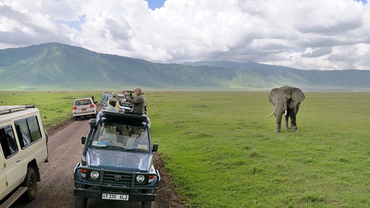 観光大国・タンザニアの魅力を伝えるWebサイトを作成したい！！