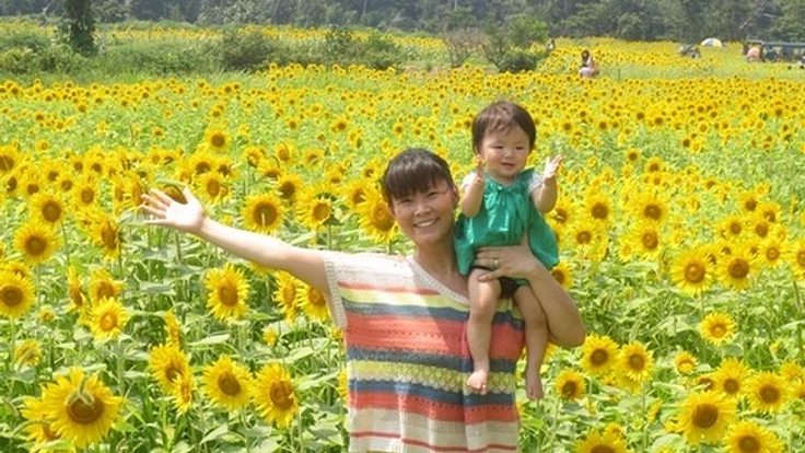 夏は浜名湖ひまわり畑へ！ひまわり専門WEBショップ立上げたい！