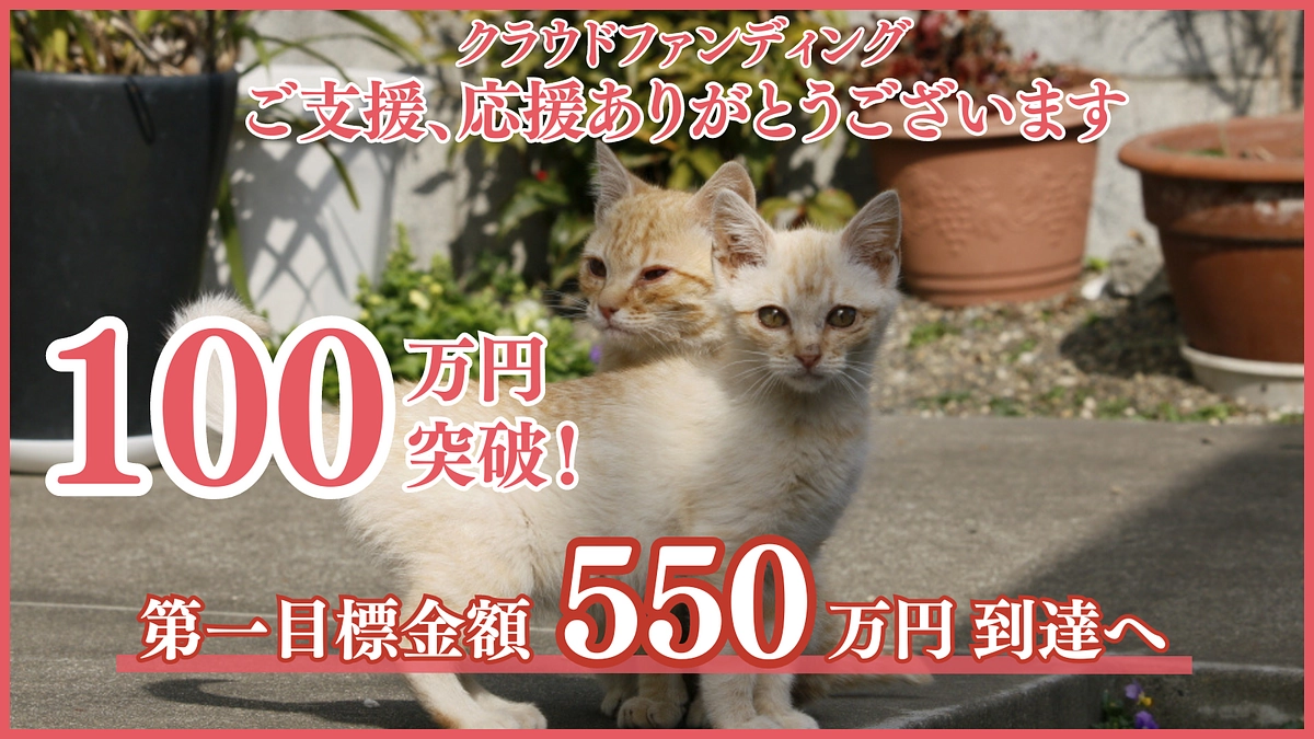 ご支援ありがとございます。