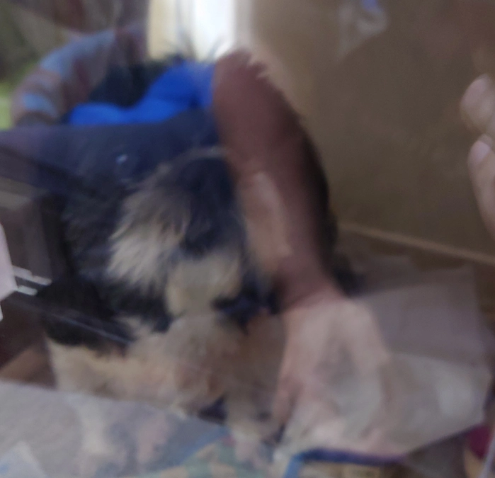 残10日。本日のボクとルーの闘いです。