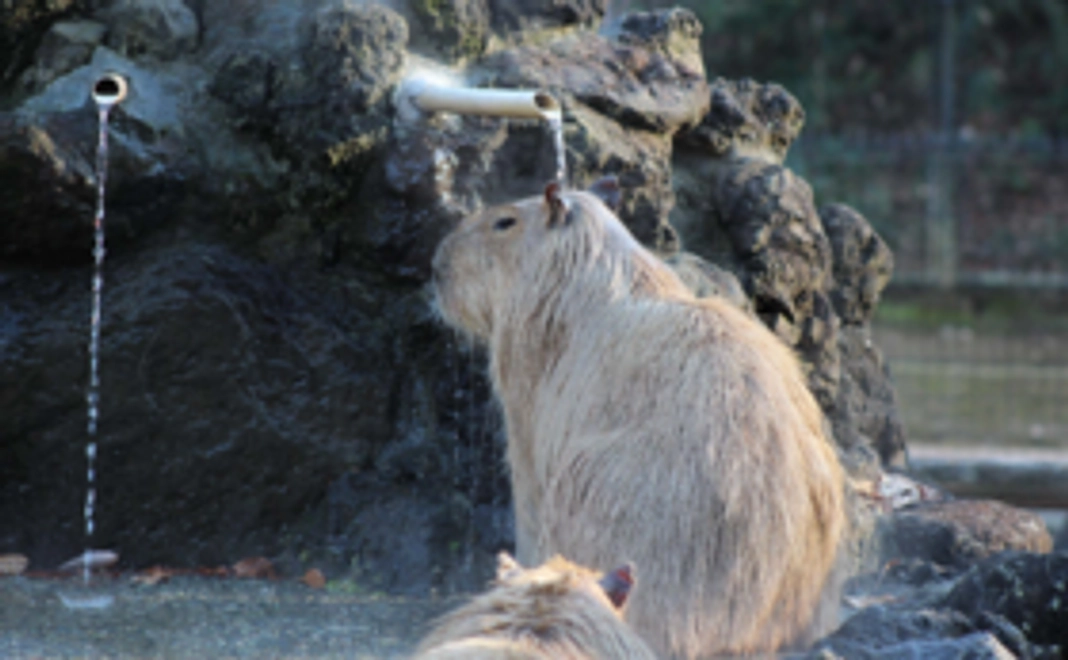 【10,000円コース】