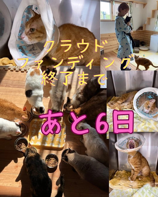 残り6日となりました！