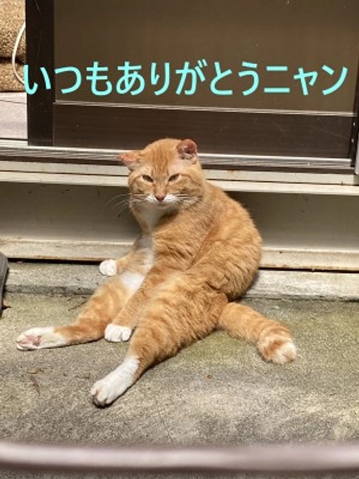 【今日のシェルター】5月21日　日曜日