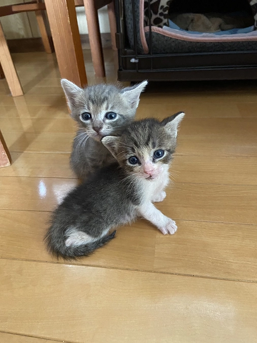 とにかくかかる医療費…