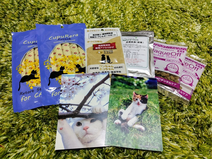 またまたプレゼントをいただきました🎁✨