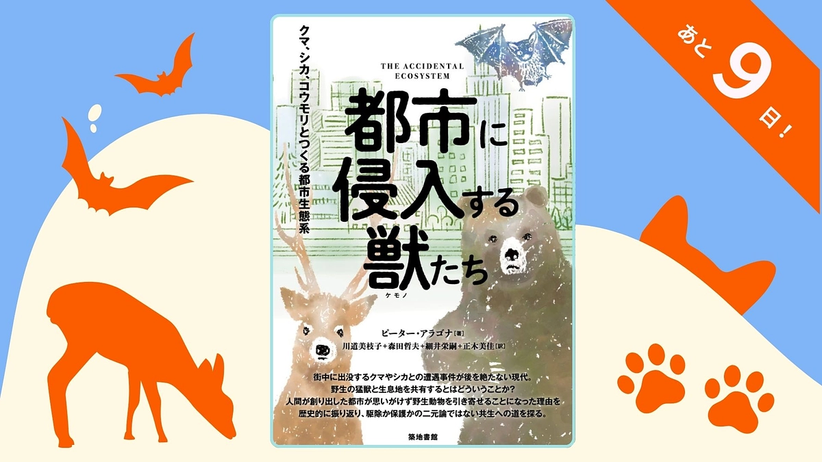 🐻都市にクマ！？野生動物と共に生きる未来を考える一冊📘