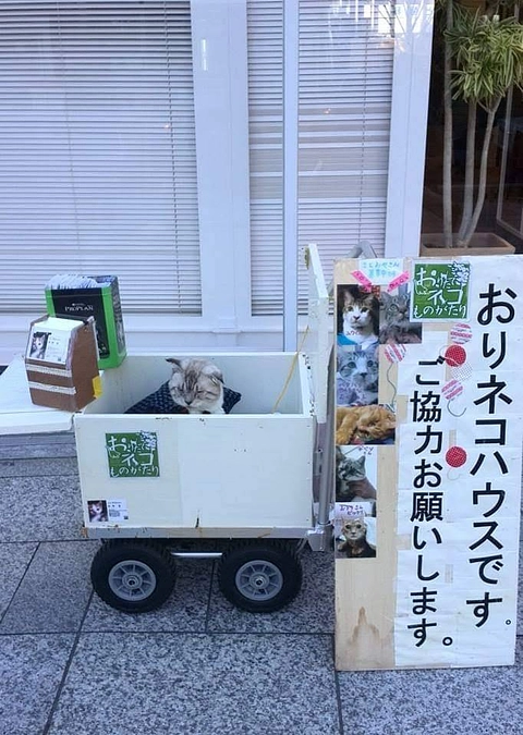 皆様に感謝だけです。