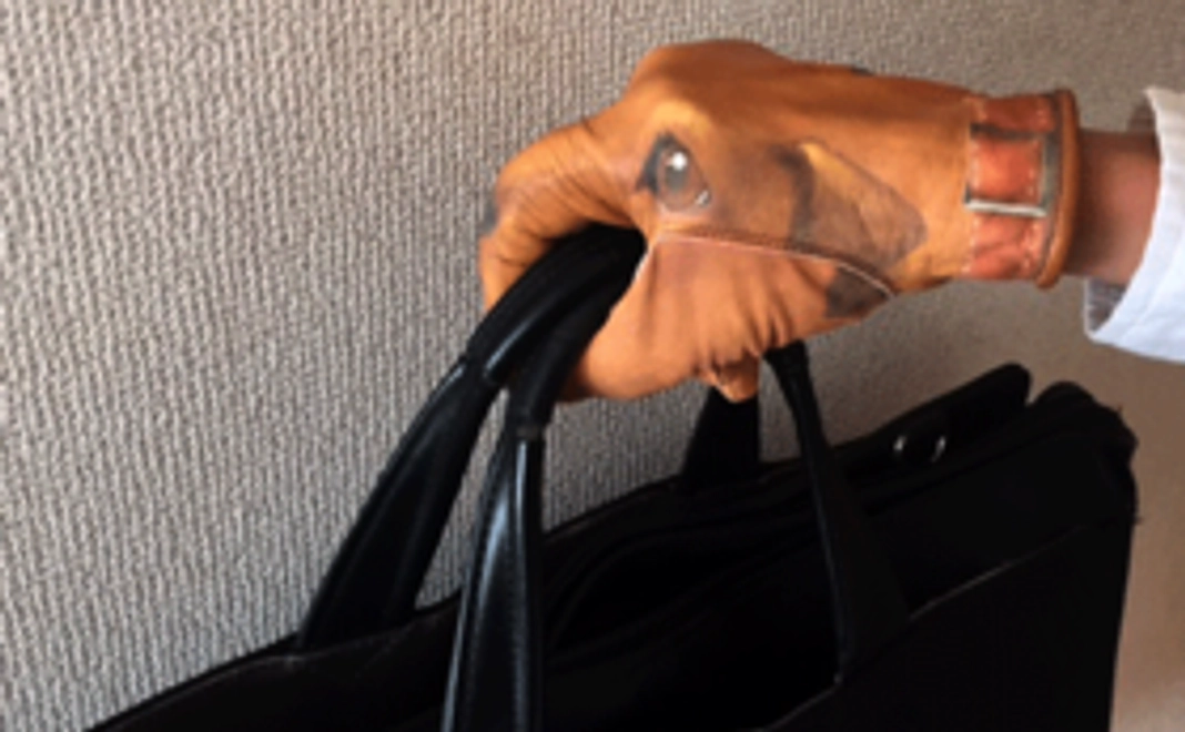 ＜犬の手袋セット＞