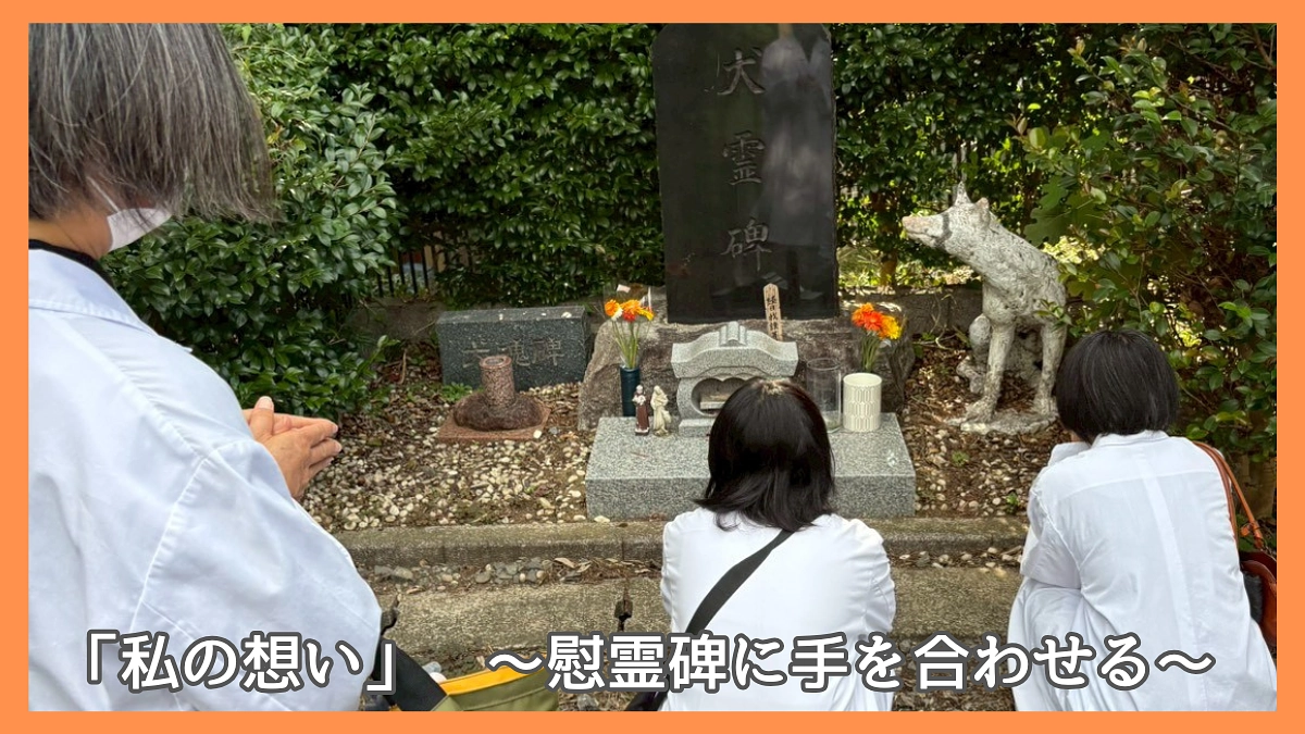 「私の想い」  〜慰霊碑に手を合わせる〜  