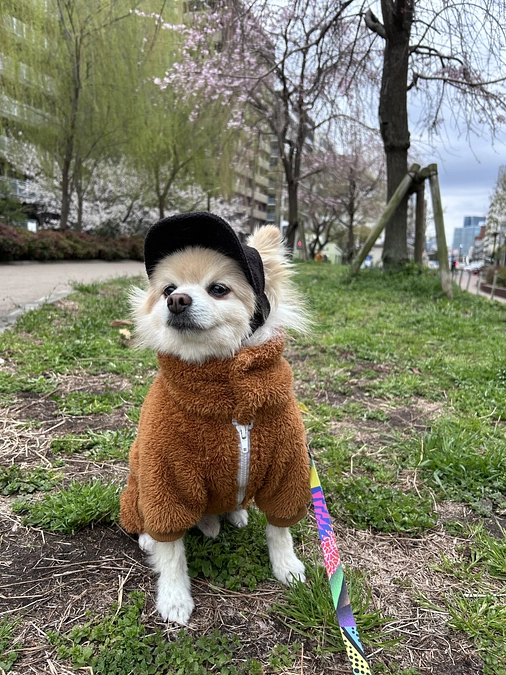 44/59 ☆ 来年は…