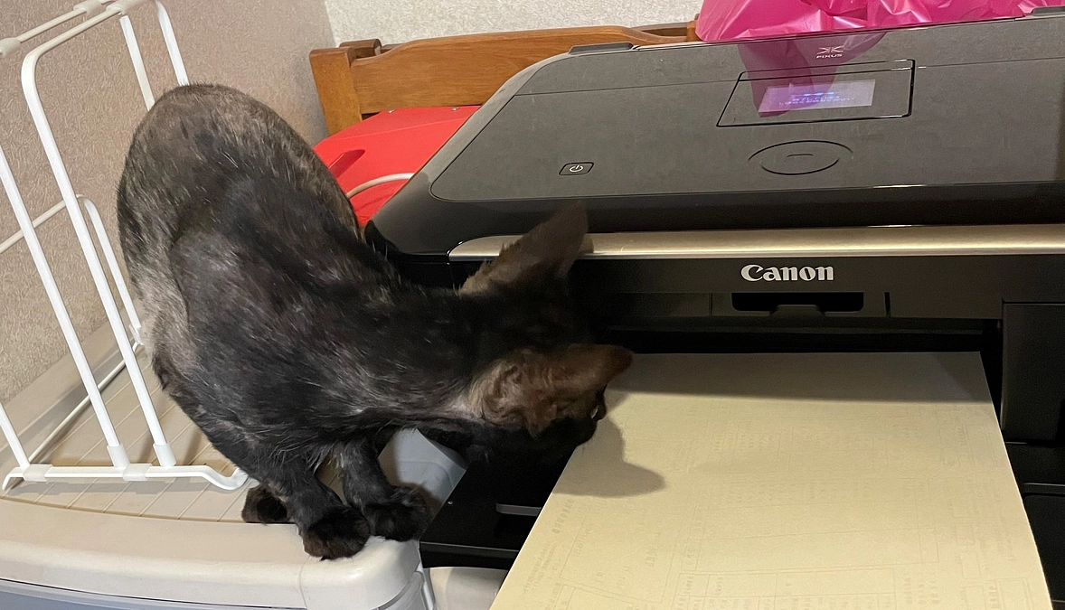 ハルくんとプリンター