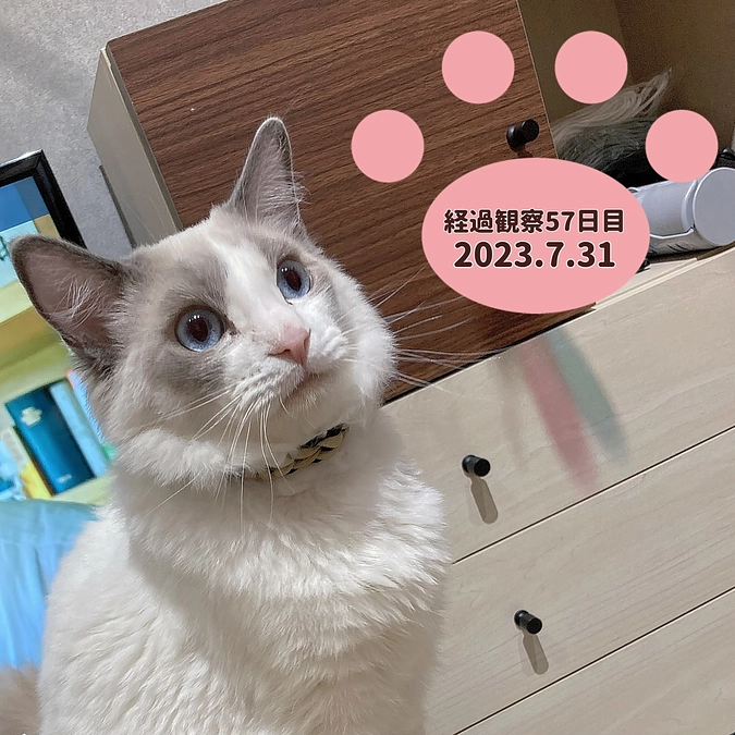 経過観察57日目(2023.7.31)
