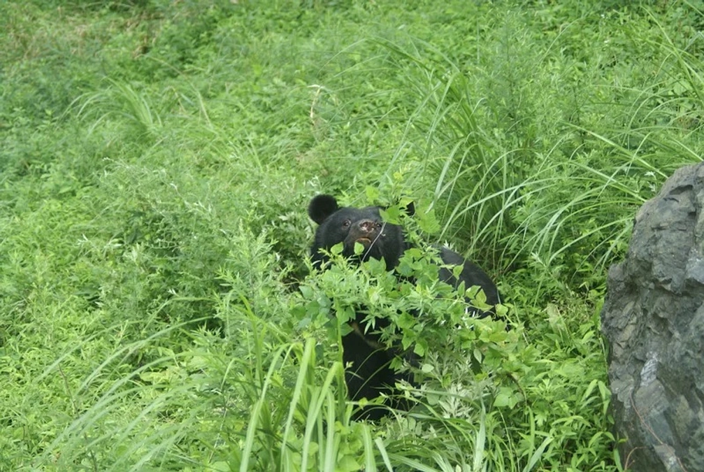 新プロジェクトに新たなリターンが追加されました！！