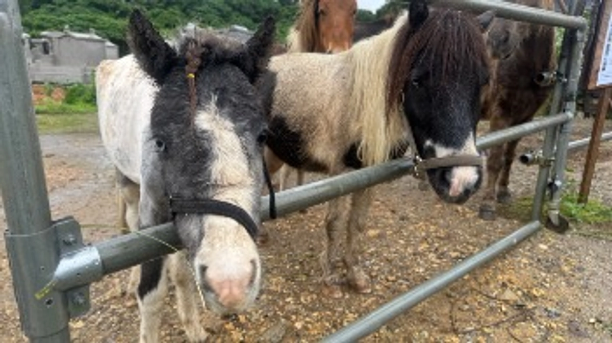 台風は外れそうです
