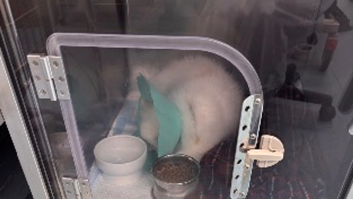 💧術後　ICU   体温低下💧