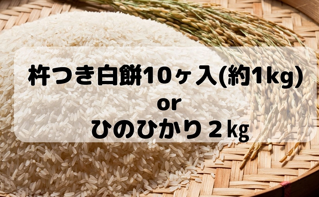 杵つき白餅10ヶ(1kg) or ひのひかり2㎏ コース