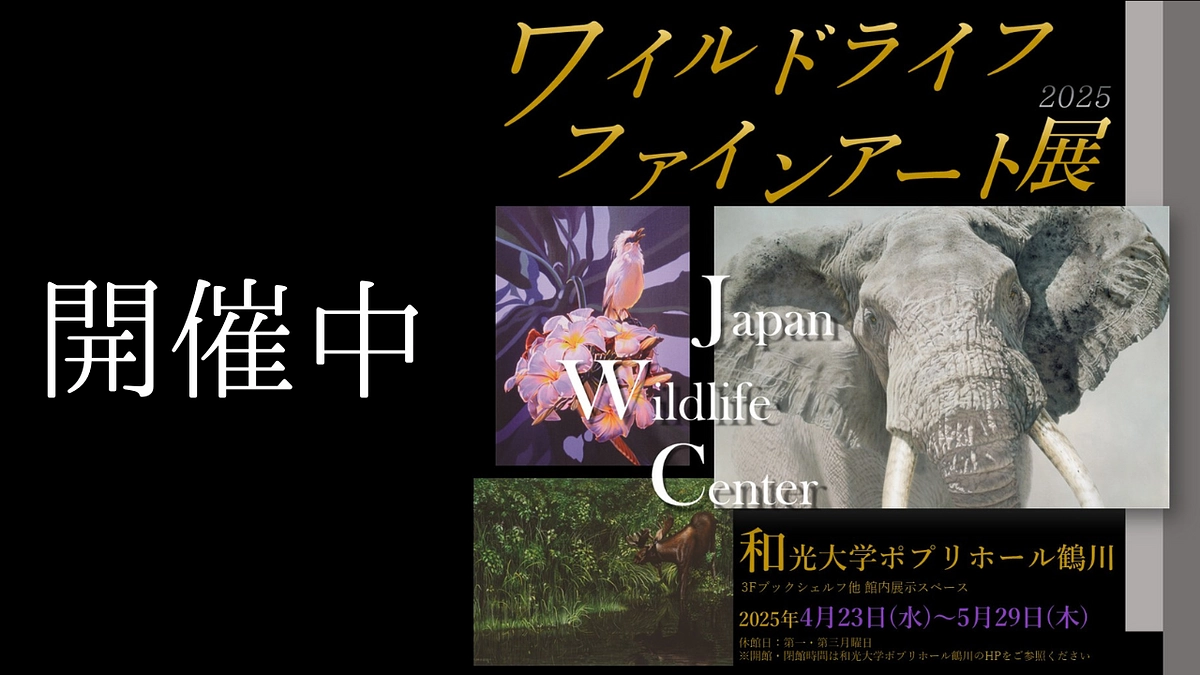 【イベント情報】ワイルドライフファインアート展開催中！