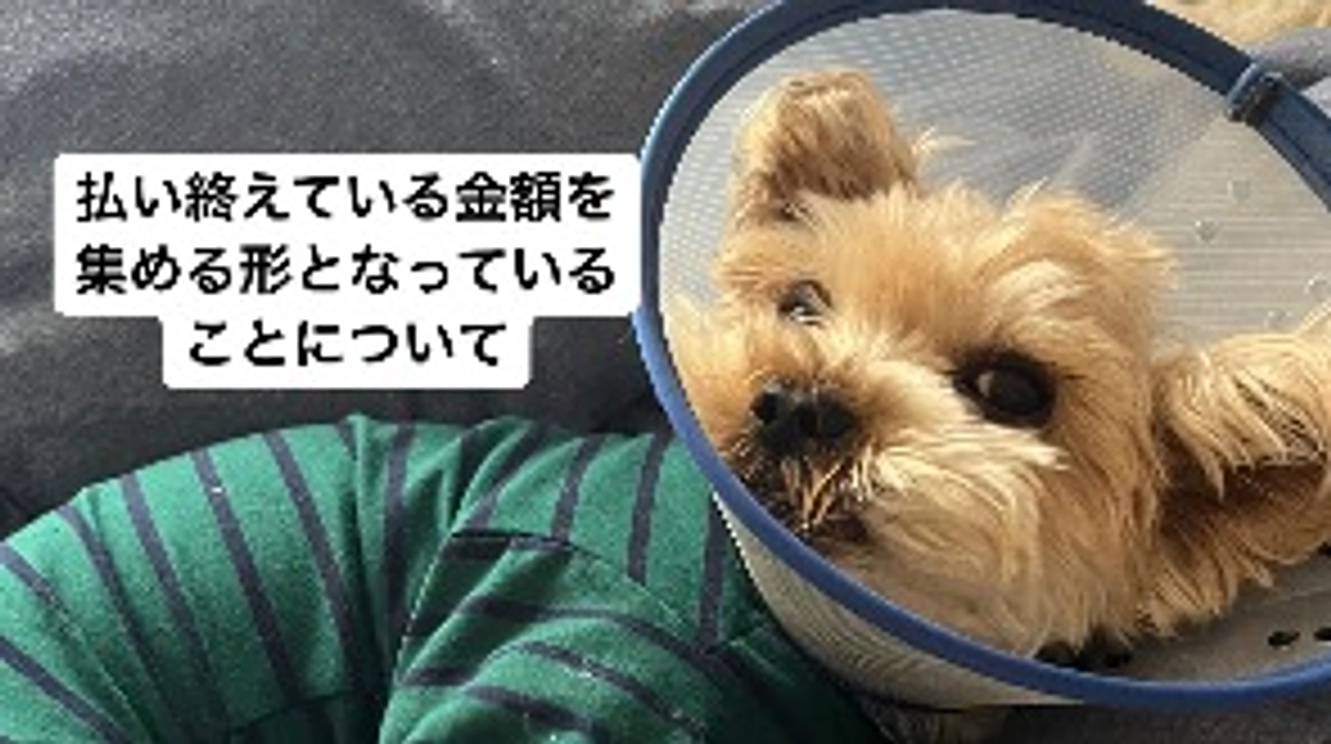 払い終えている金額を集める形となっていることについて