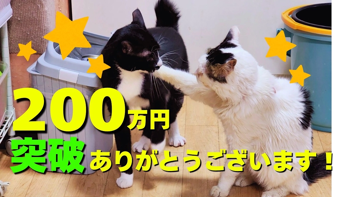 【ご報告と心からの感謝】 ✨200万円突破いたしました✨