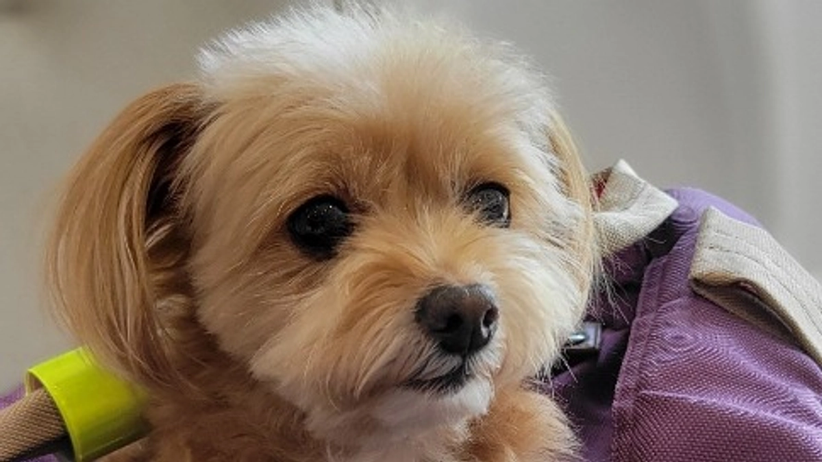 術後3ヶ月検診に行ってきました。