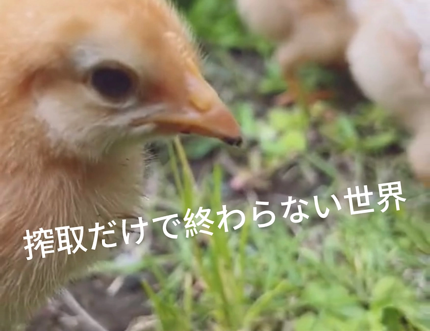 ‼️残り９日‼️