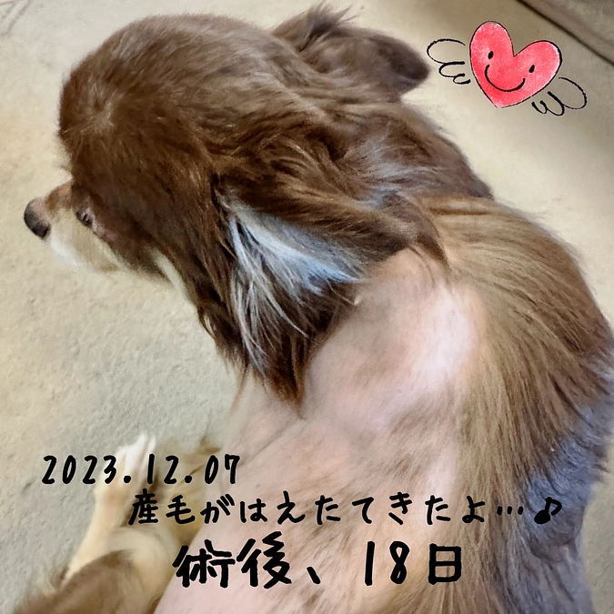 おはようございます！！