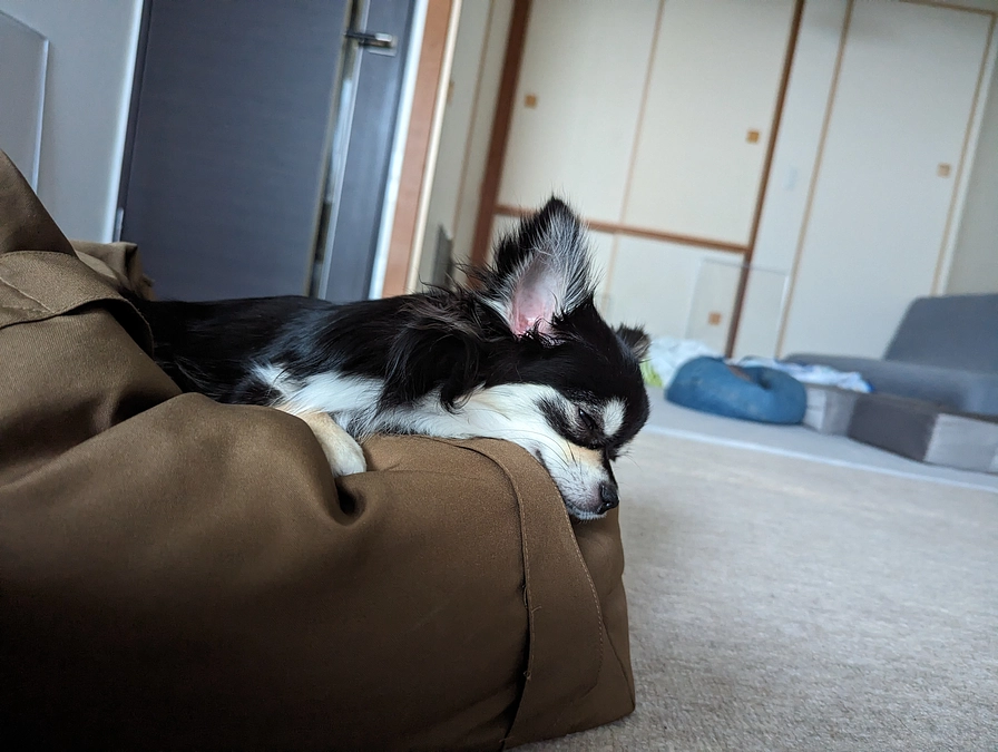 これからも、ずっと一緒に居られるように…