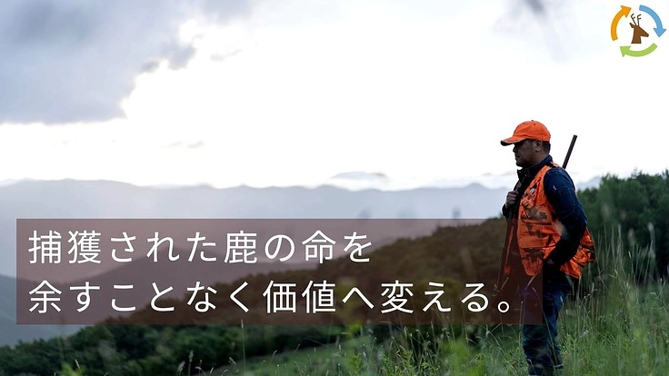 大槌で育った鹿の命を「ボーンブロス」に変えてジビエ文化を広めたい