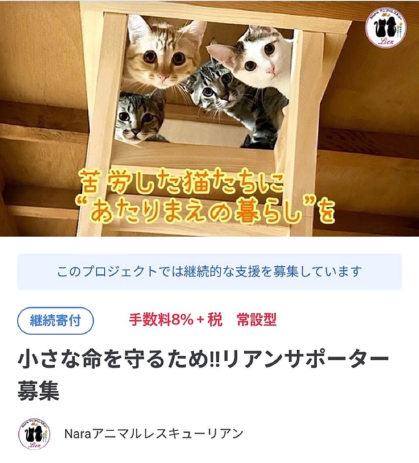 継続ご寄付のご協力をよろしくお願い致します