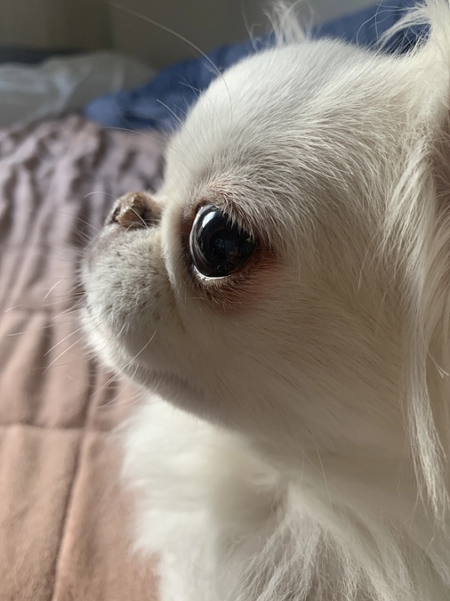 残り41日✊‼️‼️‼️