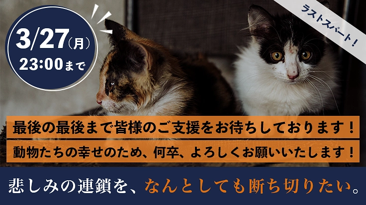 多頭飼育崩壊という負の連鎖。悲惨な環境で生きる動物たちのSOS！