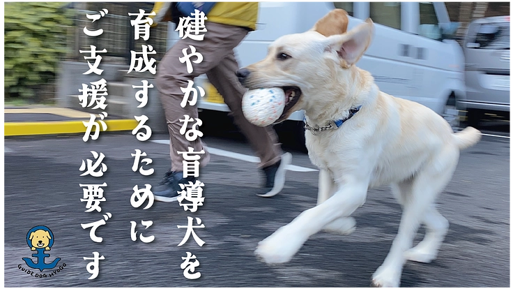 視覚障がい者の明るい未来を実現する盲導犬の育成費にご支援を！ 4枚目