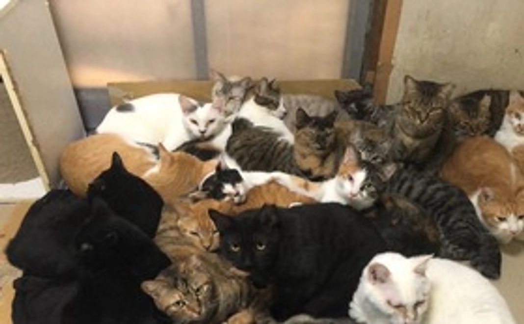 感謝のメールします！