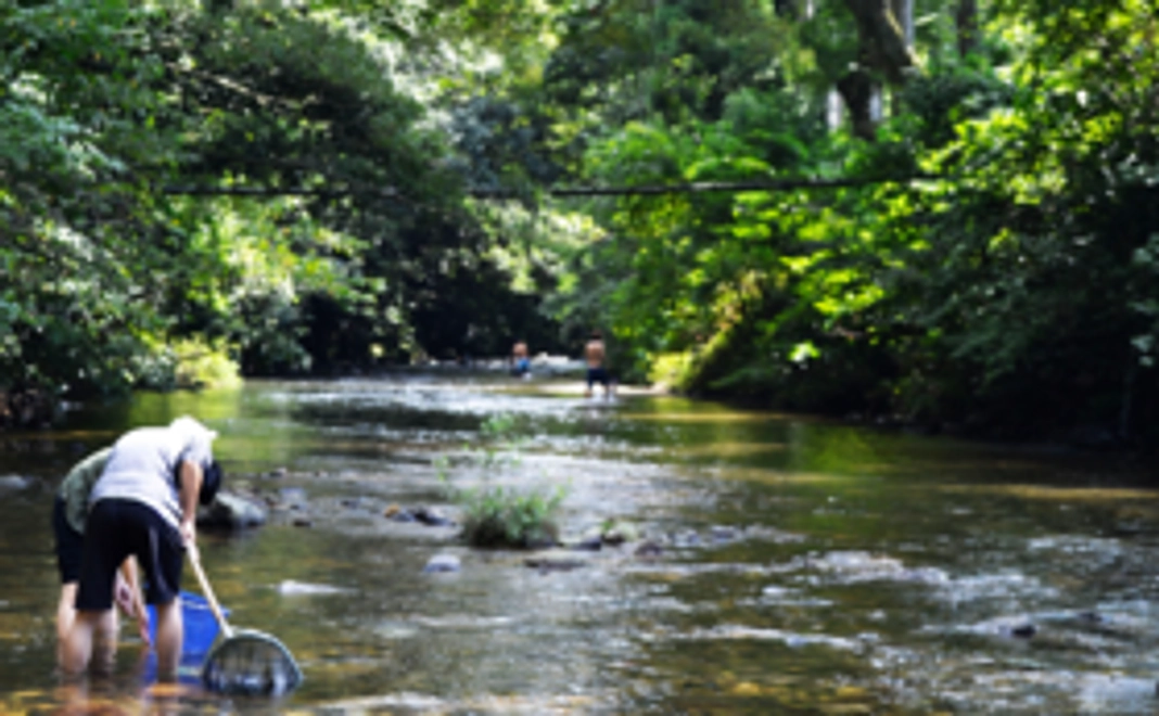 竹田Tキャンプのサポーター！【プロジェクト1つ応援コース】