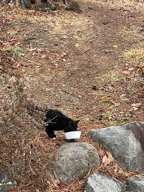 1週間が経ちました。